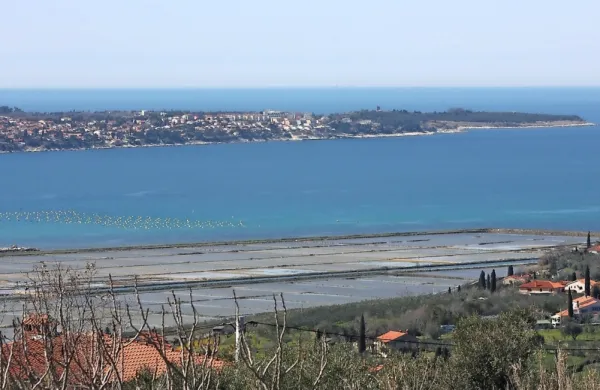 Hrvaški policisti bodo še naprej nadzorovali Piranski zaliv.