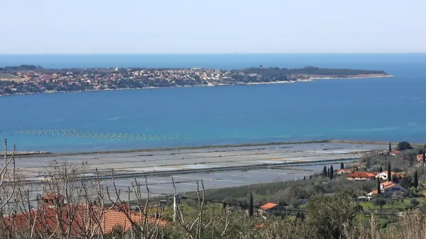 Hrvaški policisti bodo še naprej nadzorovali Piranski zaliv.