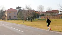 Tudi na italijanski strani se strinjajo, da sta Kolodvorska ulica in 
travnik tik ob meji primerna za organizacijo sejma Expomego. 