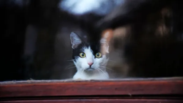 Fotografija je simbolična.