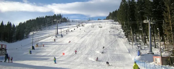 Smučišče Jasa na Rogli bo eden od poligonov za delo  marčevskega 
tretjega kongresa SPE Balkan ski.