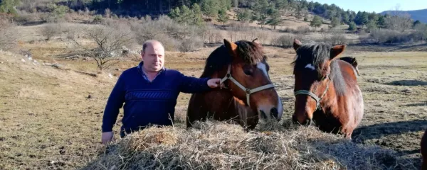 Janez Lipec z Bača skupaj z ženo skrbi za kmetijo s  56 glavami 
govedi in konj.