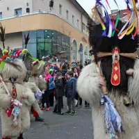 Sovič, pastirček Jakob in podzemni svet navdihnili postojnski pust