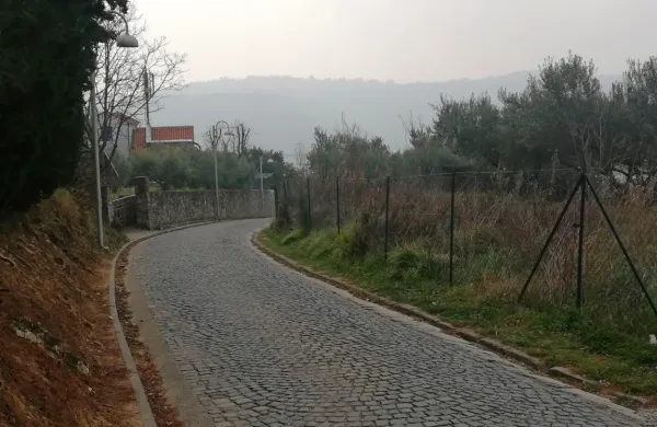 Ko bo cesta prenovljena, bo ob robovih asfaltirana, po sredini pa 
bo ostal tlak iz granitnih kock. 