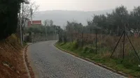 Ko bo cesta prenovljena, bo ob robovih asfaltirana, po sredini pa 
bo ostal tlak iz granitnih kock. 