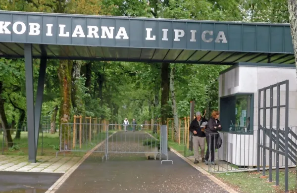 Tudi v Lipici zaradi koronavirusa beležijo nekaj odpovedi.