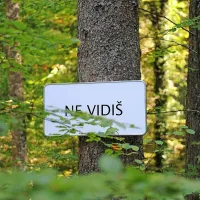 Tabla iz instalacije Past besed, leta 2017 postavljene pri bunkerju K-35 v Kočevskem  gozdu