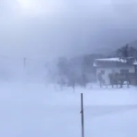 Gora