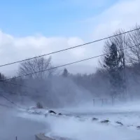 Gora