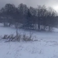 Predmeja