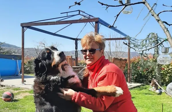 

Milena Pirc v domači karanteni uživa s svojimi kužki. Bernska 
planšarka Tisba bo še konec tega tedna postala mama, je 
navdušena Milly, ki je vesela, da je končno spet doma.
