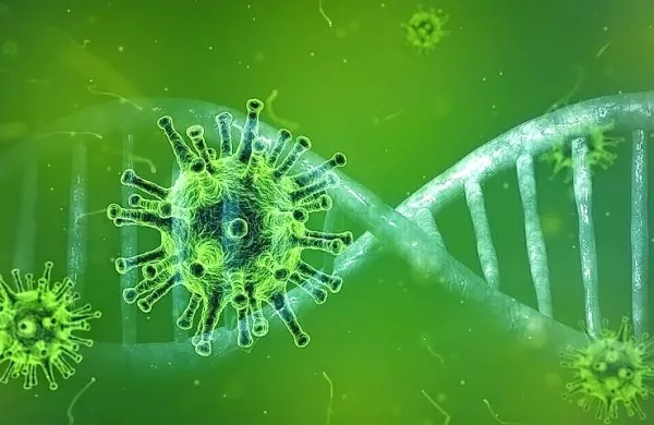 V soboto šest novih smrtnih žrtev covida-19 in 20 novih potrjenih okužb