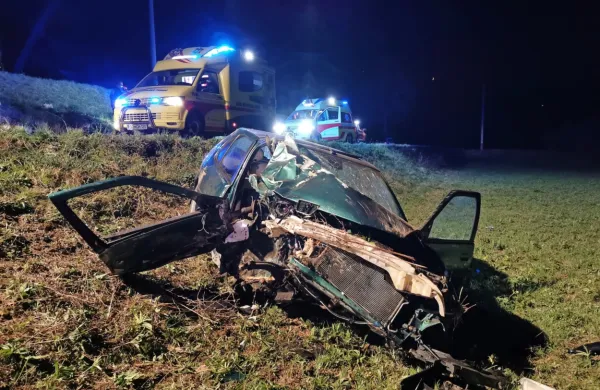 Voznik in sopotnik sta se po prvih podatkih v nesreči laže 
poškodovala.