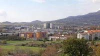 V občini Ajdovščina so včeraj zabeležili prvi potrjen primer okužbe 
z novim koronavirusom.