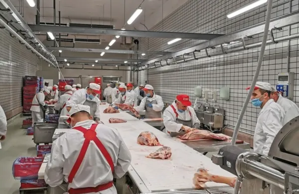 Testiranje nove razsekovalnice družbe Kras v prostorih nekdanjega Mipa v Kromberku