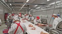 Testiranje nove razsekovalnice družbe Kras v prostorih nekdanjega Mipa v Kromberku