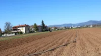 Zemlja, ki že dolgo ni bila deležna dežja, je suha. Zato je treba, kjer 
je le mogoče, vse, kar je bilo posajeno, namakati. 