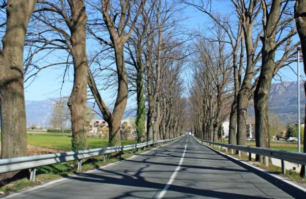 S prenovo glavne prometnice skozi Vipavo do večje varnosti za 
ranljivejše udeležence v prometu. 