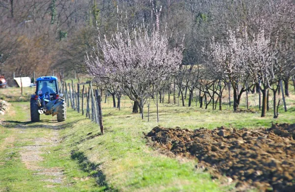 Prehod občinskih meja bo od sobote dovoljen za vse tiste, ki želijo 
kaj postoriti na svojem vikendu oziroma na njivi ali v sadovnjaku, 
ki jih imajo v drugi občini. 