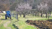 Prehod občinskih meja bo od sobote dovoljen za vse tiste, ki želijo 
kaj postoriti na svojem vikendu oziroma na njivi ali v sadovnjaku, 
ki jih imajo v drugi občini. 