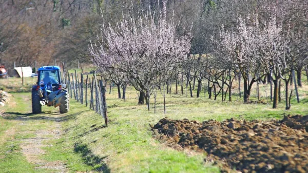 Prehod občinskih meja bo od sobote dovoljen za vse tiste, ki želijo 
kaj postoriti na svojem vikendu oziroma na njivi ali v sadovnjaku, 
ki jih imajo v drugi občini. 