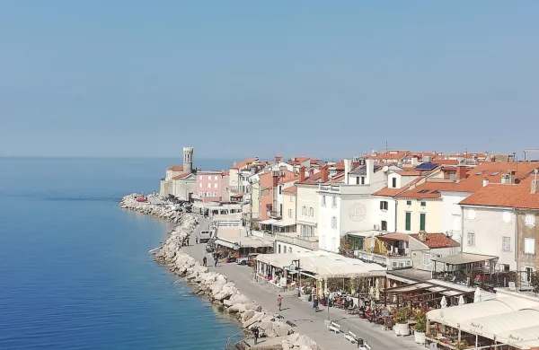 V ekipi, ki je sestavila kandidaturo Pirana za Evropsko prestolnico 
kulture, menijo, da lahko EPK kot razvojni projekt vpliva tudi na 
višjo ekonomsko rast v sektorju turizma. 