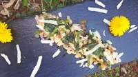 Recept: Ješprenj z divjimi travami