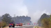 Požar so omejili