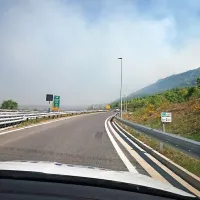 Gorelo naj bi na vsaj 20 hektarjih površine.