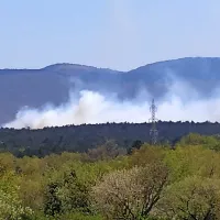 Požar so omejili