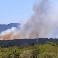Požar so omejili