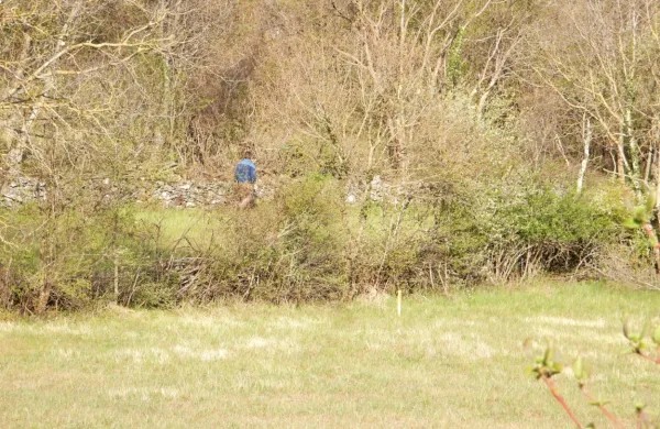 Količki se pojavijo na parcelah kar brez vednosti lastnikov.