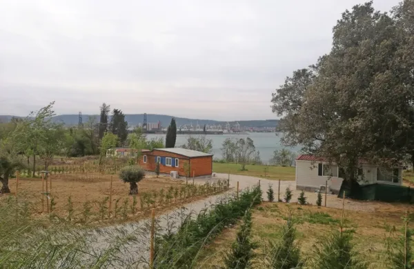 Parcela, na kateri je Rok Cvetkov v minulih tednih kosil in sadil, 
dela sive lase občinskemu vodstvu.  