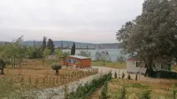 Parcela, na kateri je Rok Cvetkov v minulih tednih kosil in sadil, 
dela sive lase občinskemu vodstvu.  