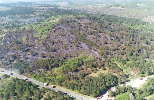 Gasilci s sežanskega zavoda za gasilno in reševalno službo so območje požara posneli tudi z dronom.