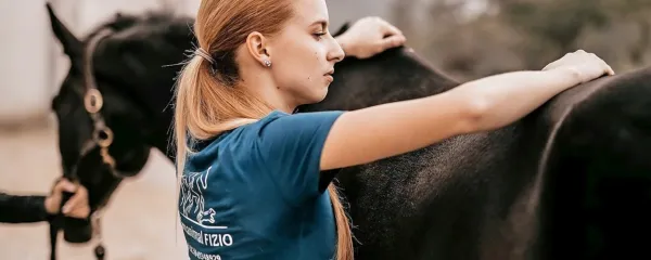 Lutz, predstavnik slovenske toplokrvne pasme, je po 12 letih še vedno Hanin največji učitelj in “poskusni zajček”.