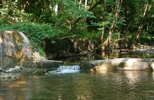 Iz zajetja Padež bi lahko Istra dobivala vodo.