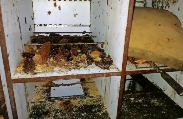 Takšna je slika enega od panjev Borisa Seražina pri Kazljah. 