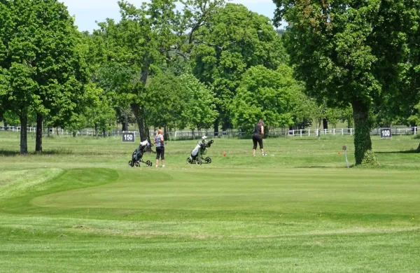 Med obiskovalci lipiškega igrišča za golf je 54 odstotkov igralcev iz 
Slovenije. Z njihovim obiskom v teh dneh so v Holdingu Kobilarna 
Lipica zadovoljni.  