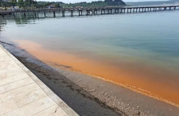 Spomladansko cvetenje morja veliko ljudi zmotno zamenja za 
onesnaženje. 