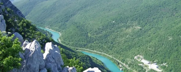 Jezik je neuničljiv