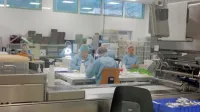 Zaradi  velikega povpraševanja  so v Tiku začasno uvedli štiri 
delovne sobote.