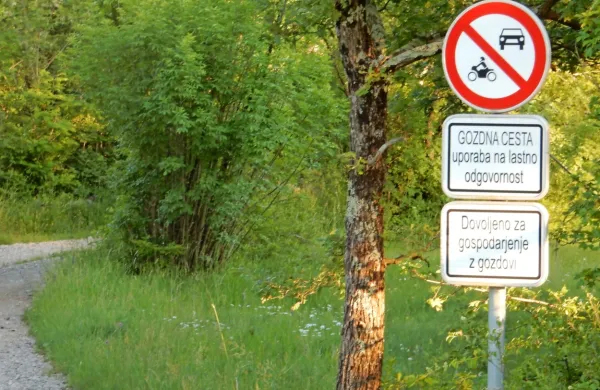Po celotni Sloveniji se je v zadnjih tednih  povečal obisk gozdov