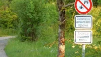 Po celotni Sloveniji se je v zadnjih tednih  povečal obisk gozdov