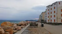 V začetku maja morajo avtomobili  zapustiti Punto, ki postane 
prostor za sončenje, sprehajanje in gostinsko dejavnost. 
