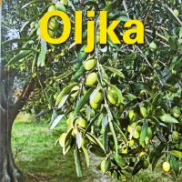Izšla je knjiga Oljka, ki celovito obravnava svet oljkarstva z vidika 
pridelovalca.