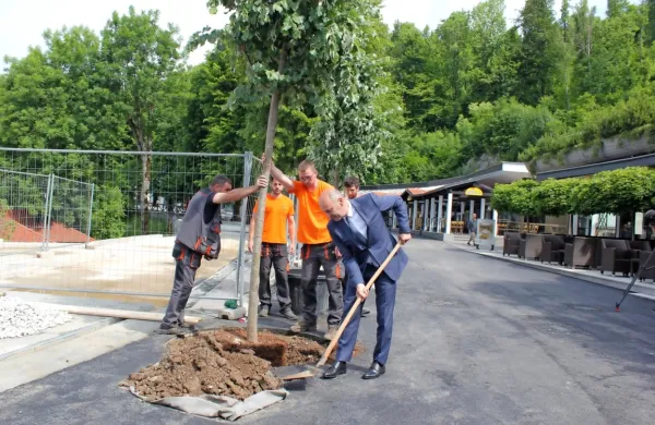 Čeprav bo letošnja turistična sezona zahtevna in negotova, so njen 
novi začetek danes pri Postojnski jami obeležili slovesno – s 
zasaditvijo osmih novih lip v Globočnikovem drevoredu na delno 
prenovljeni promenadi.