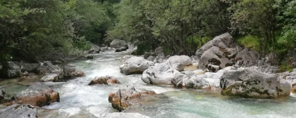V jeziku je mogoče marsikaj povedati na več načinov
