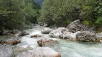 V jeziku je mogoče marsikaj povedati na več načinov