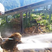 Sumijo, da je bale nekdo namerno zažgal